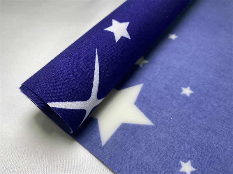 PVC Printed Fabric